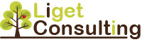 Liget Consulting